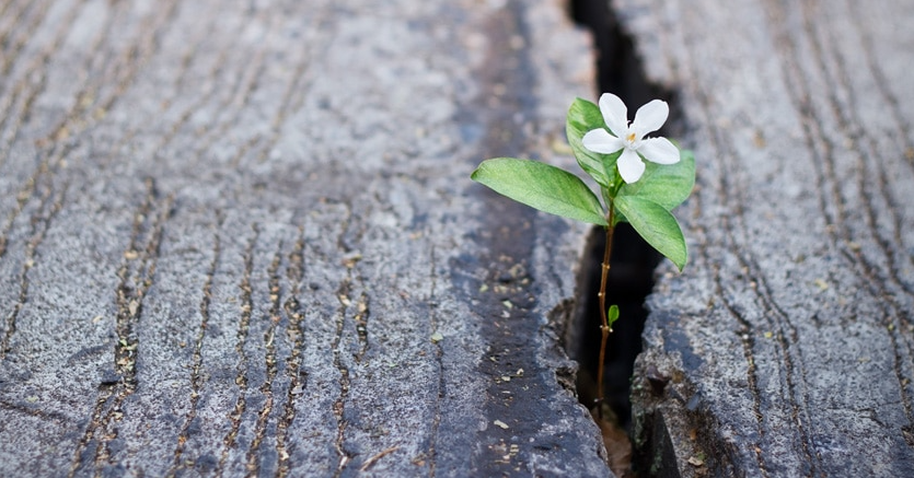 Capture d'écran 2025-02-03 101235.png